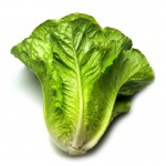 laitue romaine